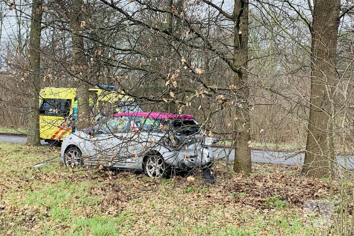 Auto belandtt in bosschages na aanrijding met vrachtwagen