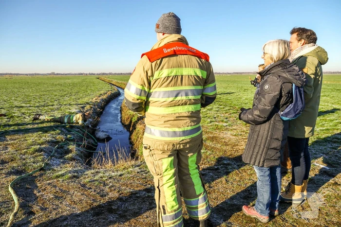 Wandelaars vinden bevroren schaap in sloot