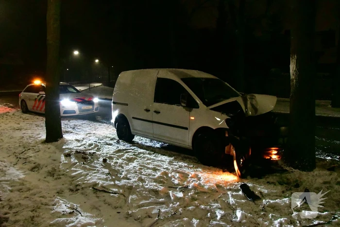 Bestelauto knalt op boom