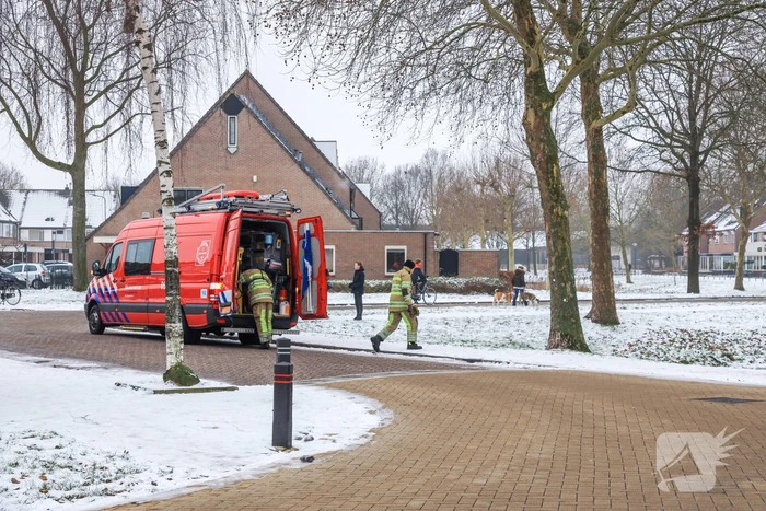 Meeuw vast in het ijs (Bunschoten-Spakenburg)