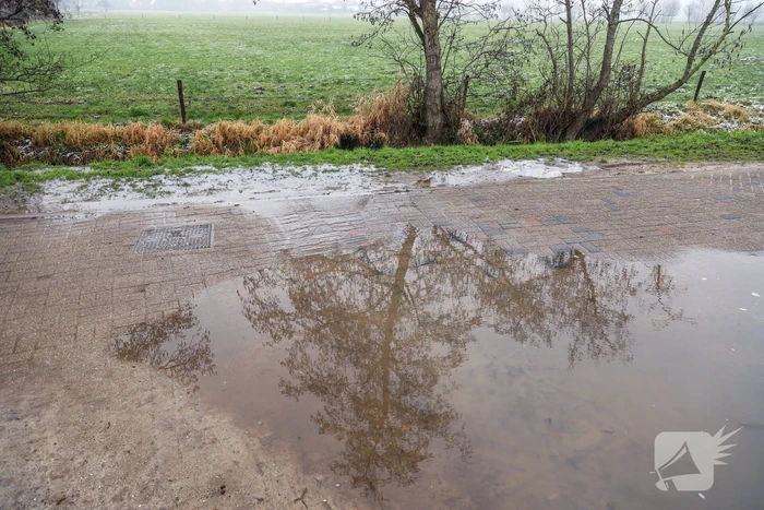Trilplaat zorgt voor waterballet (Nijkerk)