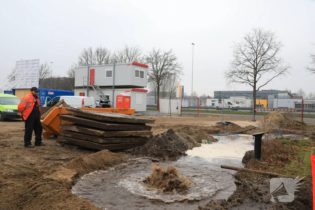 Hoogland