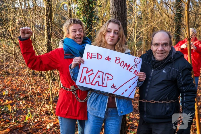 Bomenkap moment van de waarheid