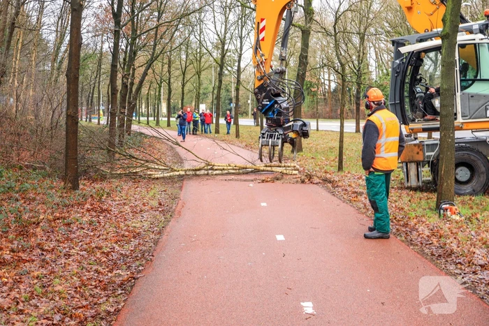 Bomenkap moment van de waarheid