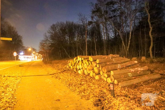 Wederom beveiliging van machines bomenkap Westelijke Ontsluiting (Amersfoort)