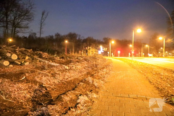 Wederom beveiliging van machines bomenkap Westelijke Ontsluiting (Amersfoort)