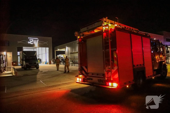 Marktviskar in loods vol rook