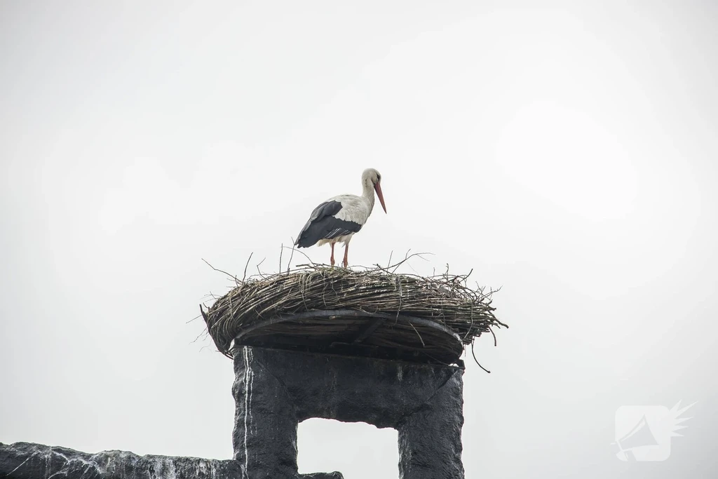 Verbindingsweg Nieuws Hooglanderveen 