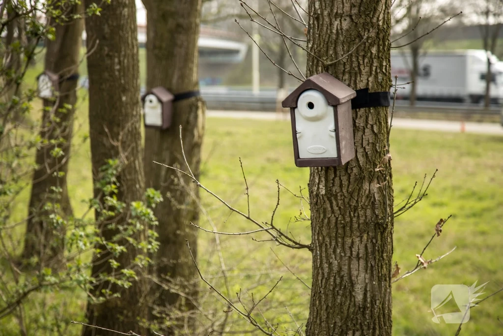 Lindeboomseweg Hoogland 112 