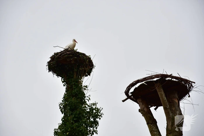 natuur meentweg eemnes