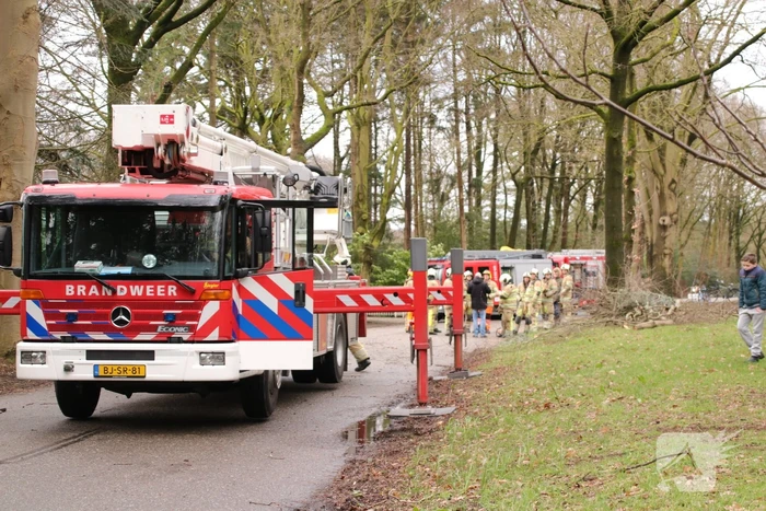 natuur bergweg rhenen
