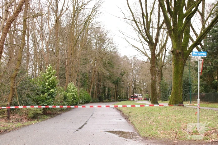 Hoogwerker weigert dienst om een grote boom met schade te vellen