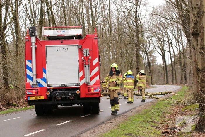 Omgewaaide boom blokkeert weg