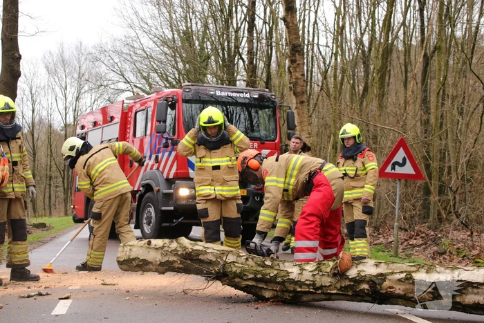 Omgewaaide boom blokkeert weg