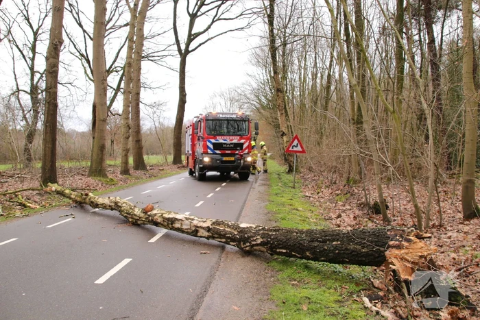 Omgewaaide boom blokkeert weg