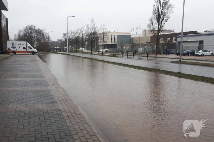 Auto verdwijnt in sinkhole