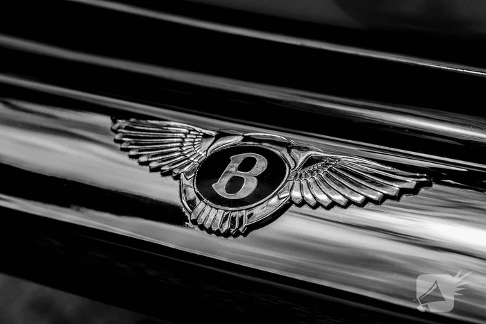 Bentley Turbo onder bedreiging van vuurwapen gestolen