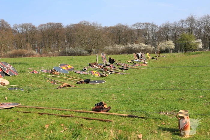 80 Europese Viking-strijders oefenen het zwaardvechten