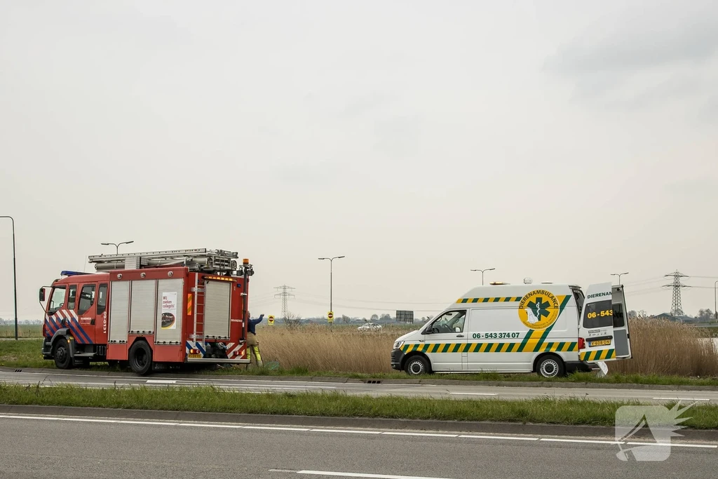 Bunschoterstraat - N199 112 meldingen Hoogland 