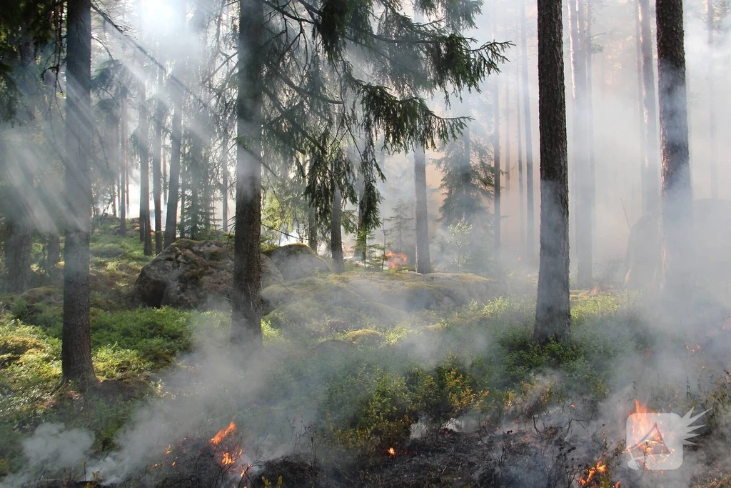 Schapendrift 112 nieuws Soest 