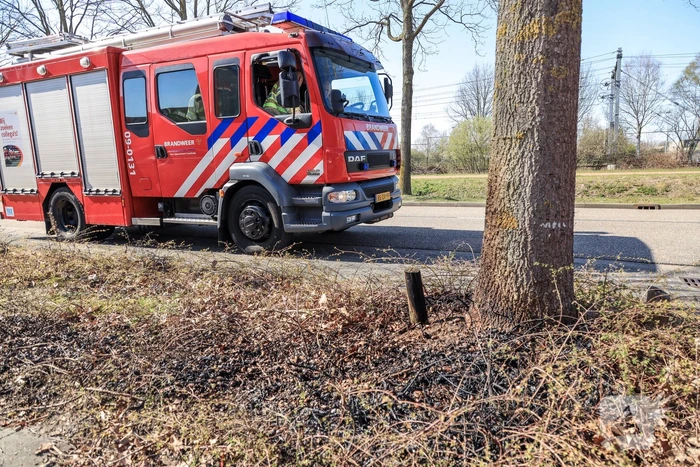 Medewerkers bedrijven blussen brand in berm, Databankweg