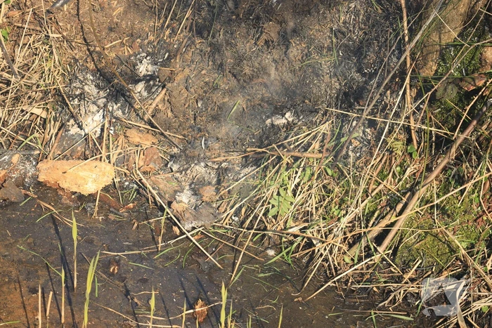 Jongeman gewond bij bermbrand