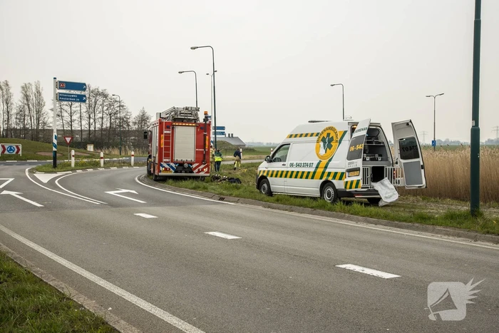 Aangereden zwaan laat zich niet vangen, Bunschoterstraat