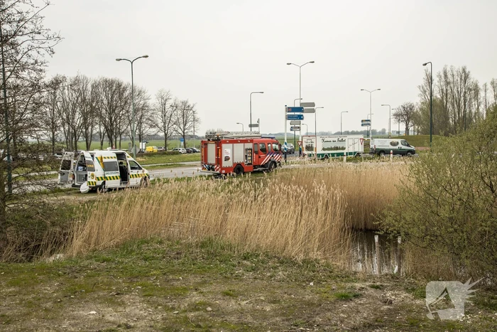 Aangereden zwaan laat zich niet vangen, Bunschoterstraat