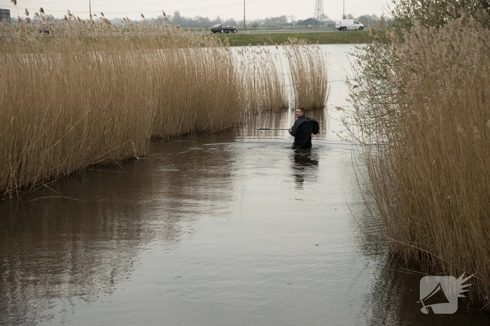 Aangereden zwaan laat zich niet vangen, Bunschoterstraat