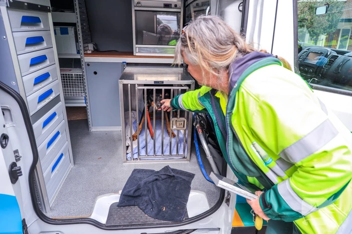 Arrestatie bij inval in woning; meerdere voertuigen in beslag genomen