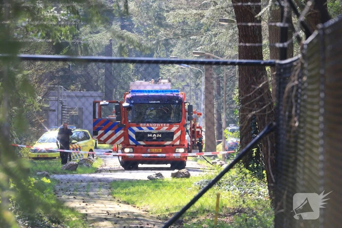 Neergestort vliegtuig hangt in boom