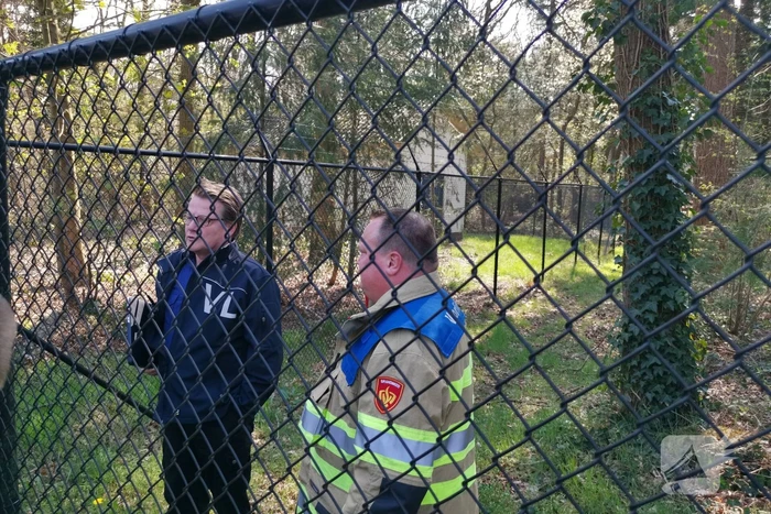 Neergestort vliegtuig hangt in boom