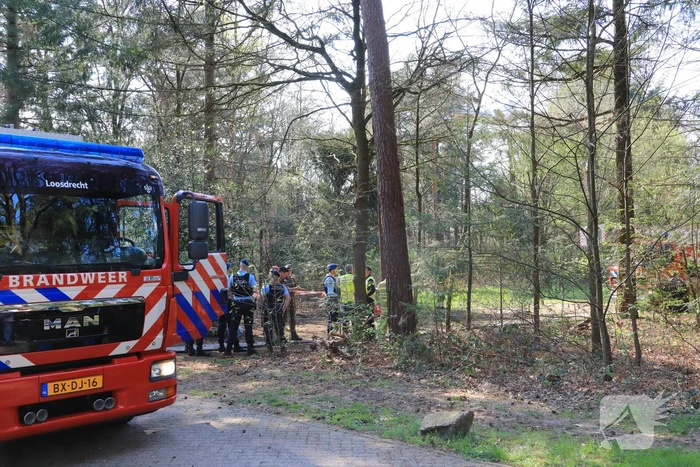 Neergestort vliegtuig hangt in boom