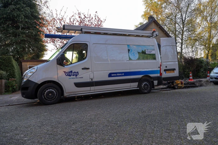 Wortels bomen doorboren waterleiding