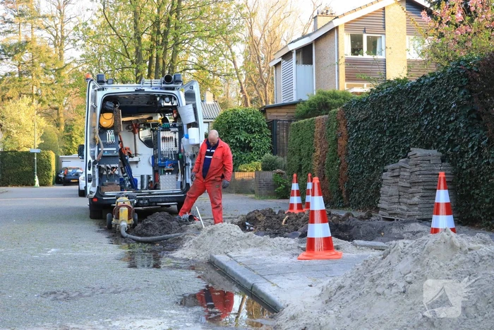 Wortels bomen doorboren waterleiding