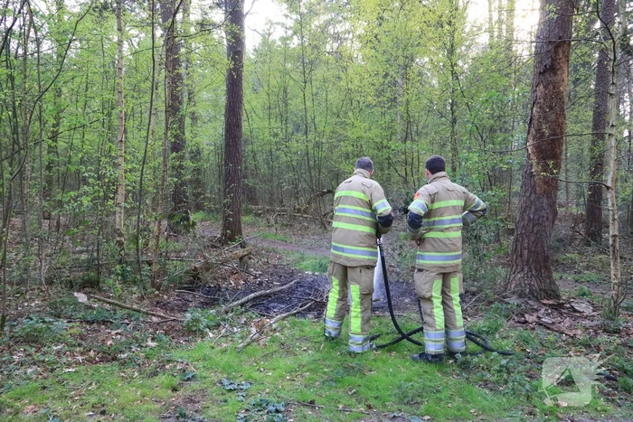 Kleine brand in bos achter Dierentuin