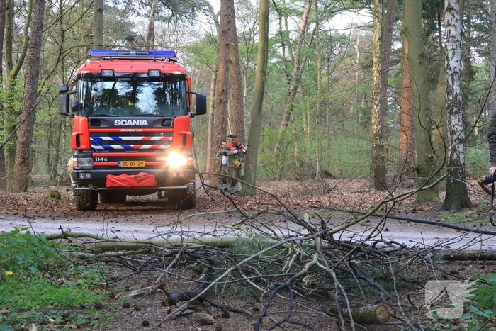Kleine brand in bos achter Dierentuin