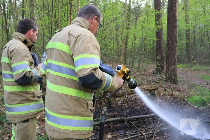 Kleine brand in bos achter Dierentuin