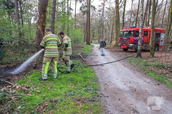 Kleine brand in bos achter Dierentuin