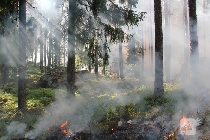 brand schapendrift soest