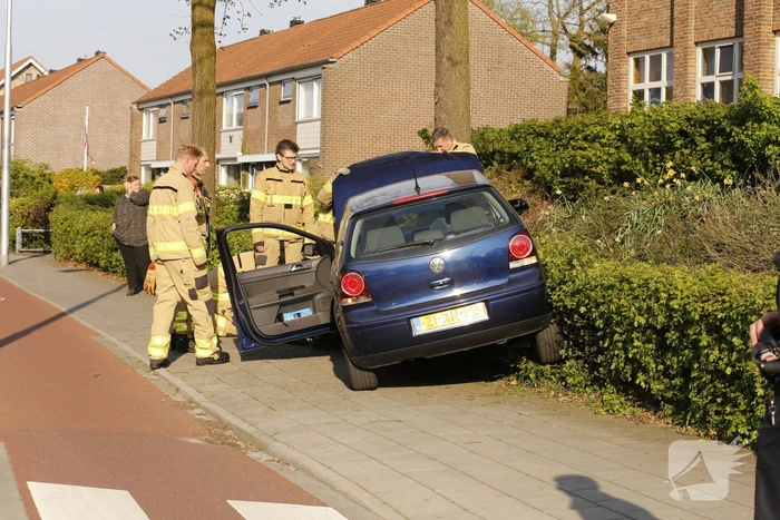 Auto raakt van de weg en belandt in struiken