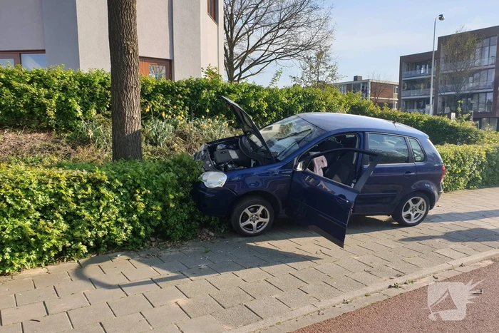 Auto raakt van de weg en belandt in struiken