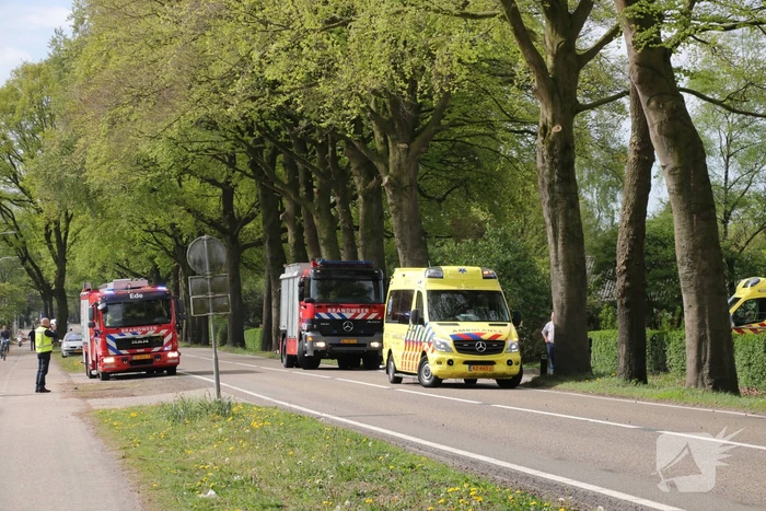 Auto crasht tegen boom