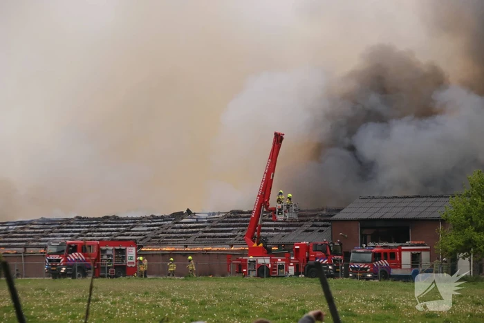 Grote kippenschuur met mogelijk 16.000 kippen in brand