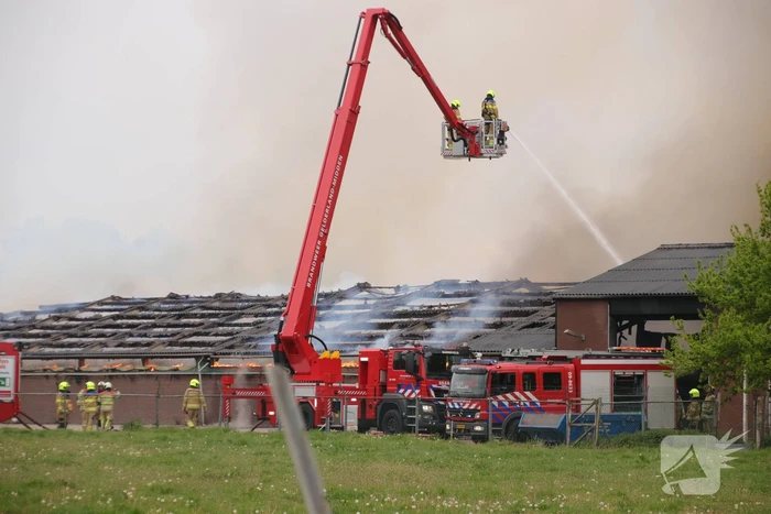 Grote kippenschuur met mogelijk 16.000 kippen in brand