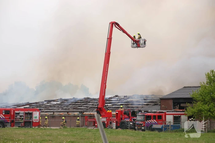 Grote kippenschuur met mogelijk 16.000 kippen in brand