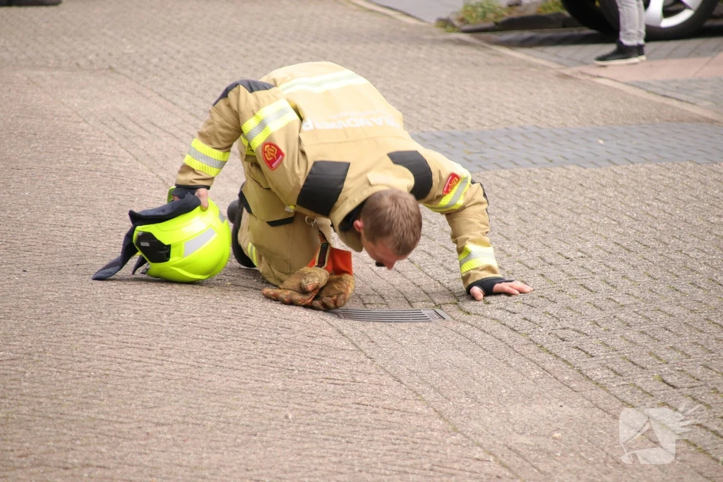 Valkenier Barneveld 112 