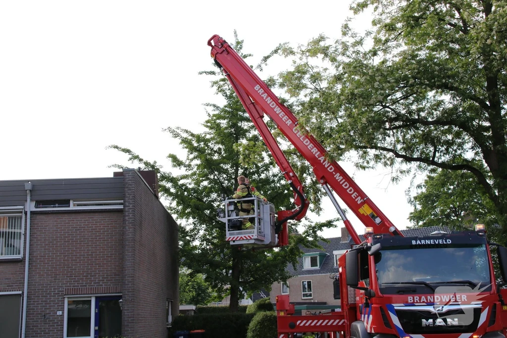 Barneveld