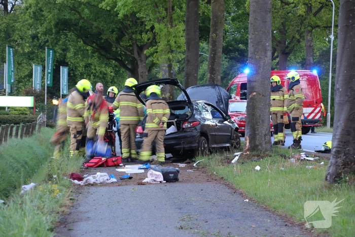 Auto klapt frontaal op boom