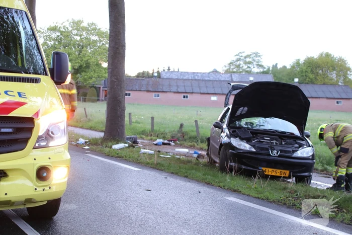 Auto klapt frontaal op boom